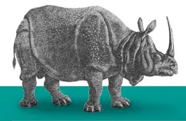 JavaScript: avoid overuse and enhance accessibility