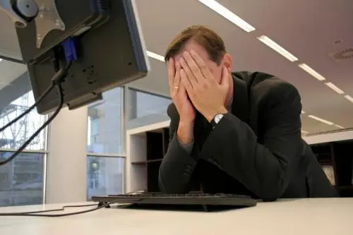 Fat themes: a problem with WordPress paid themes