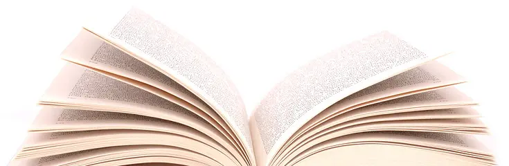 WordPress: paginating posts without plugins