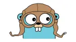 Go: how to use WebRTC